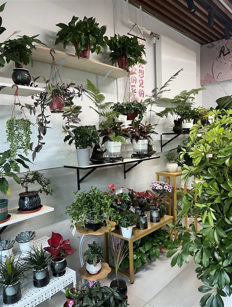 青禾鲜花店