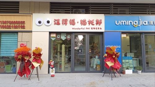 汪得福·猫托邦