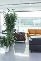 新意传奇信息技术