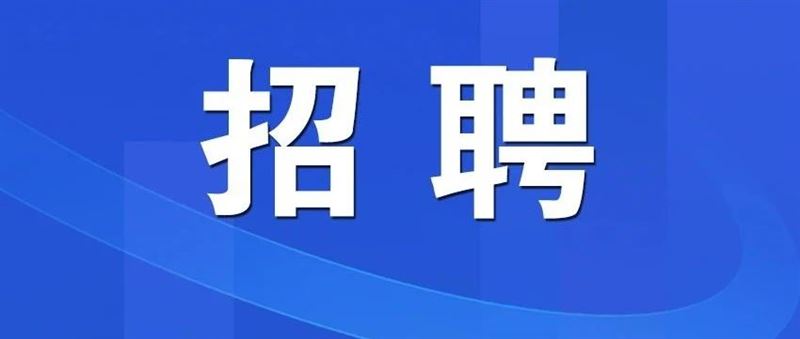 生态城动漫园招聘全职英语老师